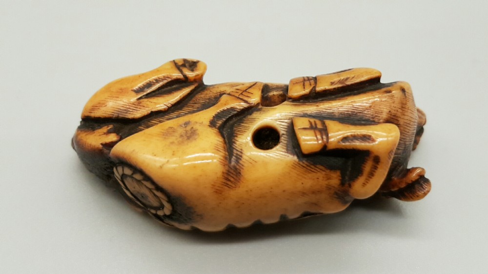Japanese Edo/Meiji Stag Antler Ox Netsuke  View III