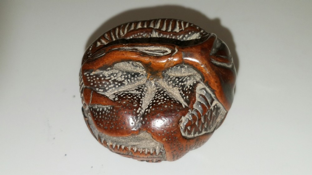 Japanese Meiji Boxwood Netsuke of Tangerine Dragon View IV