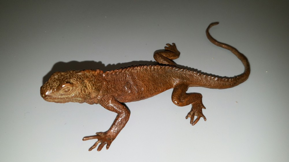 Superb Japanese Meiji Bronze Lizard 