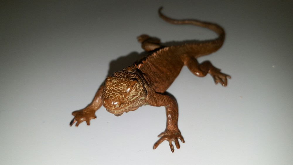 Superb Japanese Meiji Bronze Lizard  View III