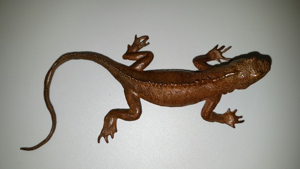 Superb Japanese Meiji Bronze Lizard  View V