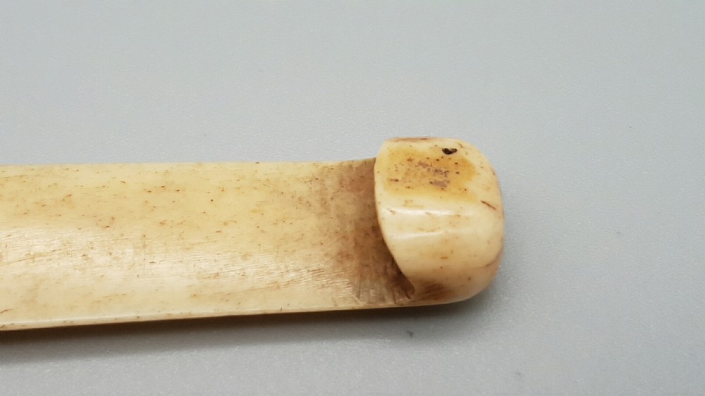 Japanese Meiji (19thC) Stag Antler Sashi Netsuke with Reishi Mushroom Crest View IV