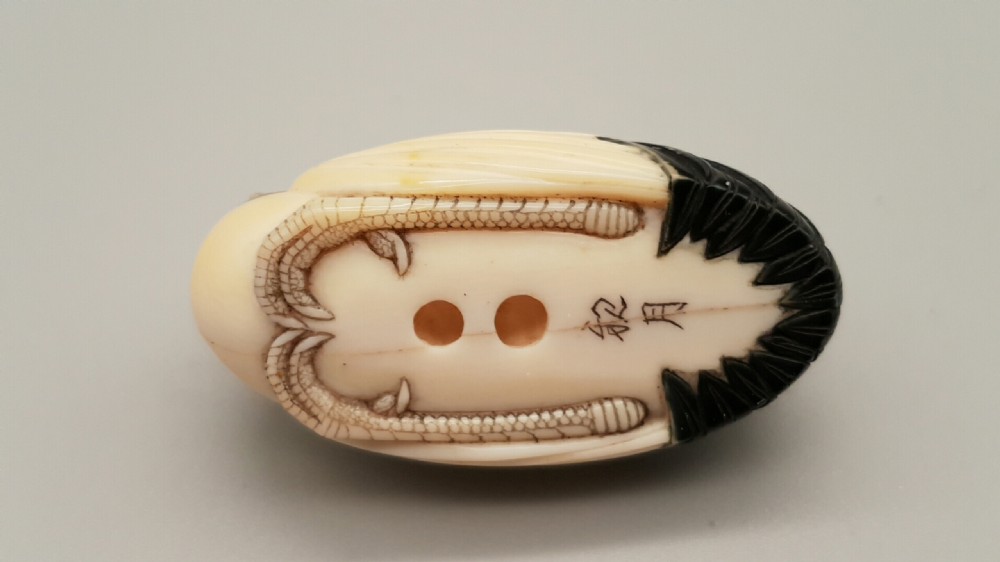Beautiful Japanese Meiji (19thC) Ivory Lacquered Netsuke of Red-Crowned Crane signed Shingetsu View V