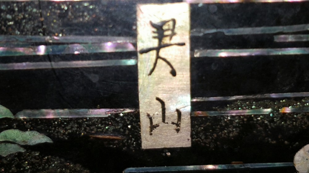 Beautiful Japanese Meiji (19thC) Raden (Mother-of-Pearl) Black Lacquer Storage Box View X