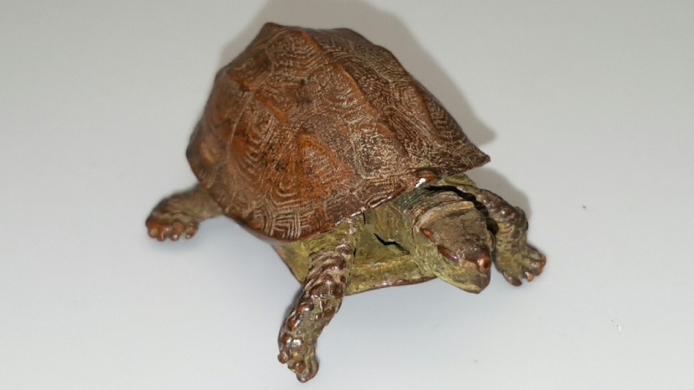 Excellent Meiji Japanese Miniature Bronze of a Turtle with Retractable Head/Tail View IV