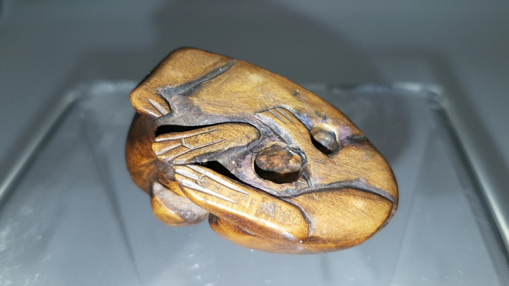 Japanese Edo (19thC) Boxwood Puppy Netsuke View IV