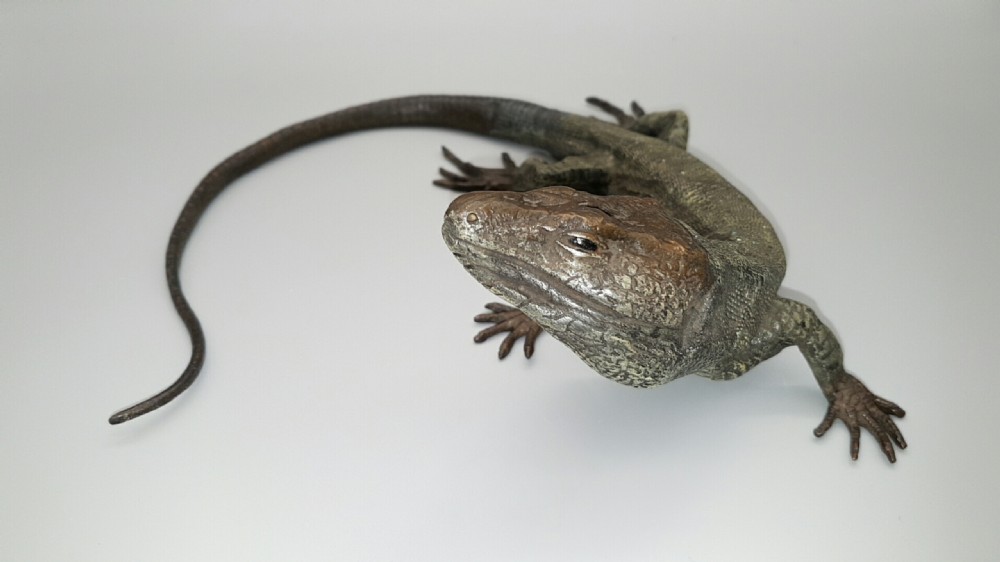 Magnificent Antique (ca. 1900) Austrian Cold-Painted Bronze Lizard by Franz Bergman  View IV
