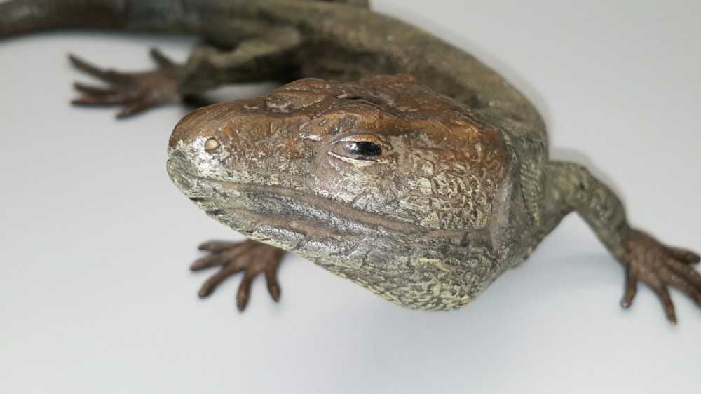 Magnificent Antique (ca. 1900) Austrian Cold-Painted Bronze Lizard by Franz Bergman  View VI
