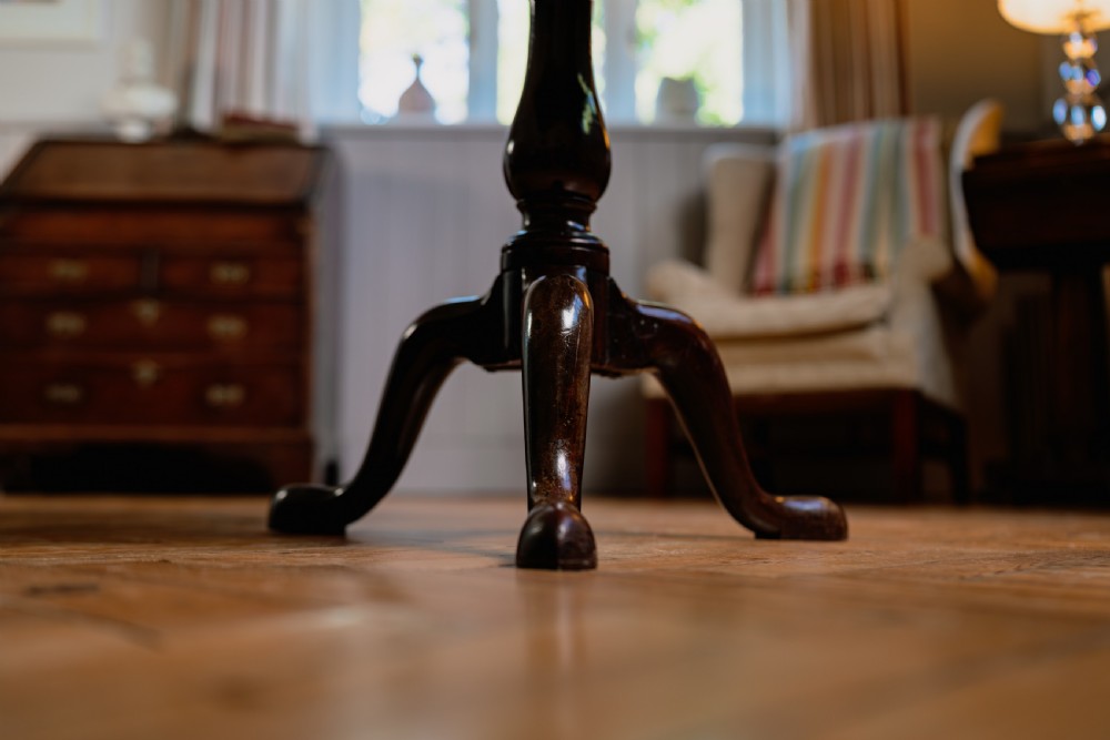 A Georgian mahogany tripod wine table featuring a circular top, turned column stem, and three cabriole legs. View II