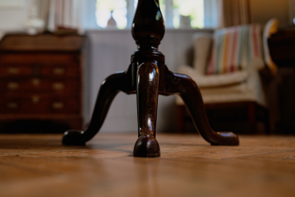 A Georgian mahogany tripod wine table featuring a circular top, turned column stem, and three cabriole legs. View III