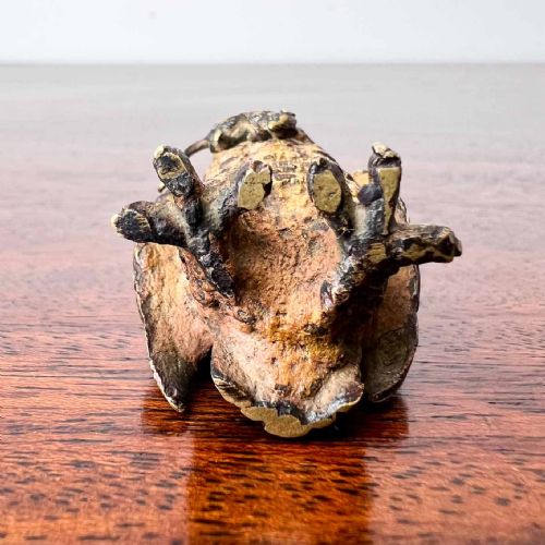 AUSTRIAN COLD PAINTED BRONZE OWL - ADDITIONAL PHOTO 7