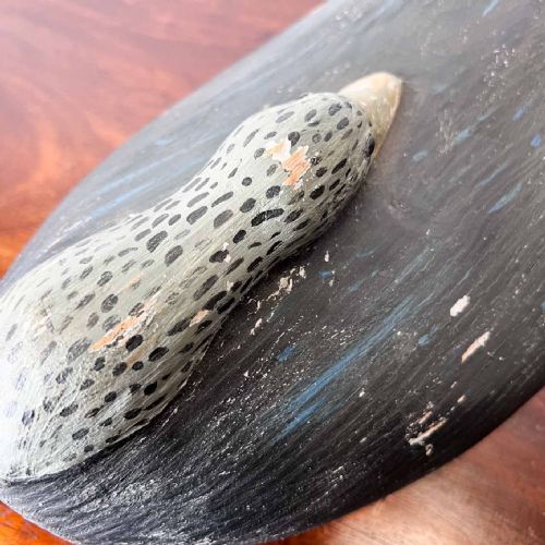 FOLK ART CARVED DECOY GOOSE - ADDITIONAL PHOTO 9