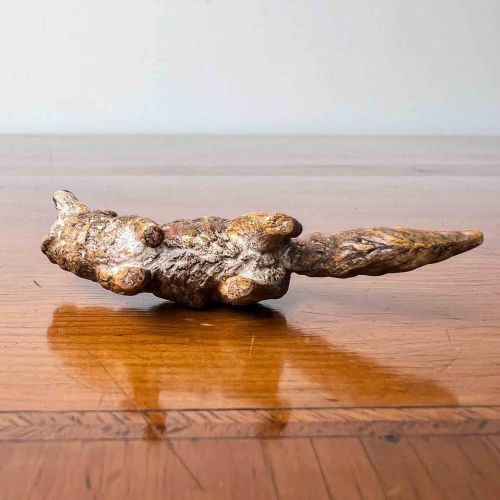 AUSTRIAN COLD PAINTED BRONZE FOX - ADDITIONAL PHOTO 7