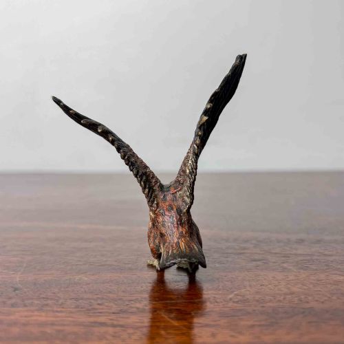 AUSTRIAN COLD PAINTED BRONZE EAGLE - ADDITIONAL PHOTO 4