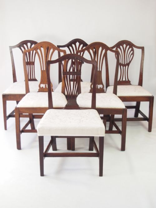Harlequin Set 6 Georgian Dining Chairs