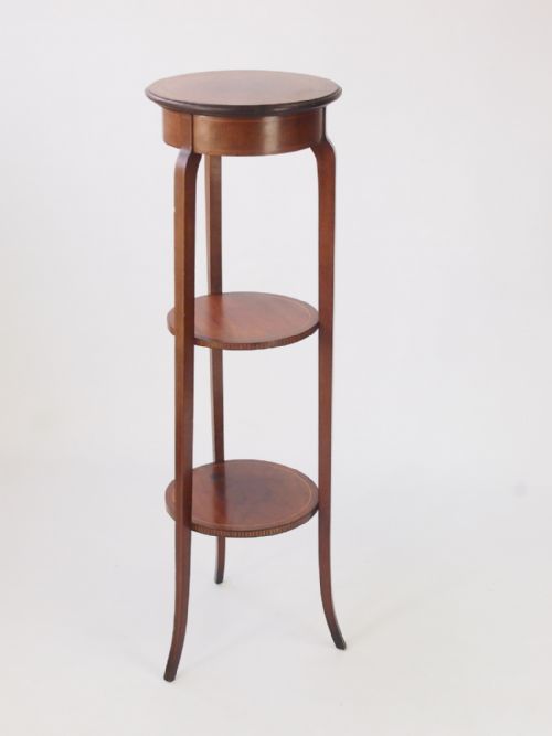 Tall Antique Edwardian Mahogany Plant Stand