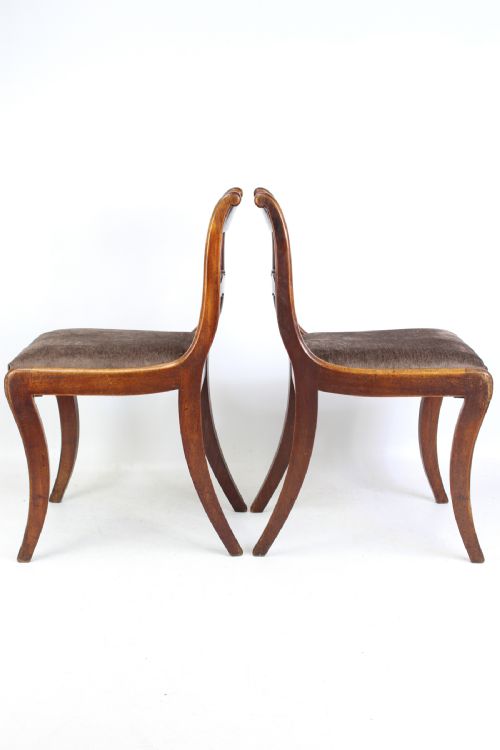 fig 1. Pair of Antique Regency Mahogany Chairs