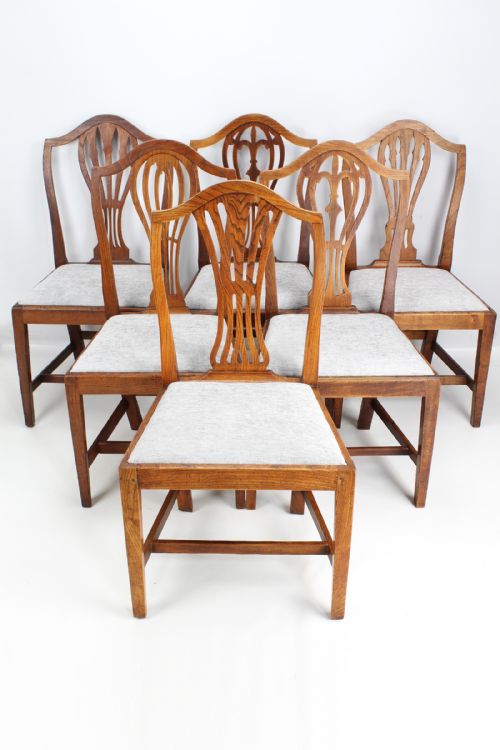 Harlequin Set 6 Antique Ash & Elm Dining Chairs