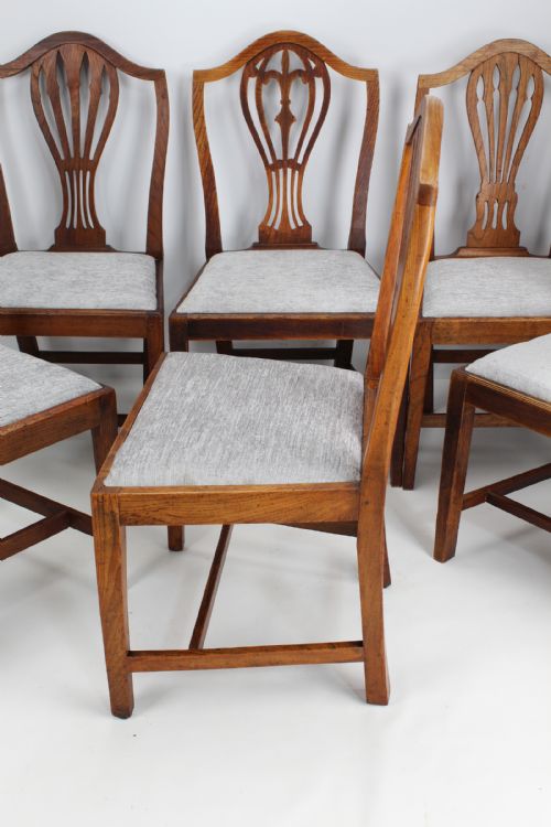 fig 1. Harlequin Set 6 Antique Ash & Elm Dining Chairs