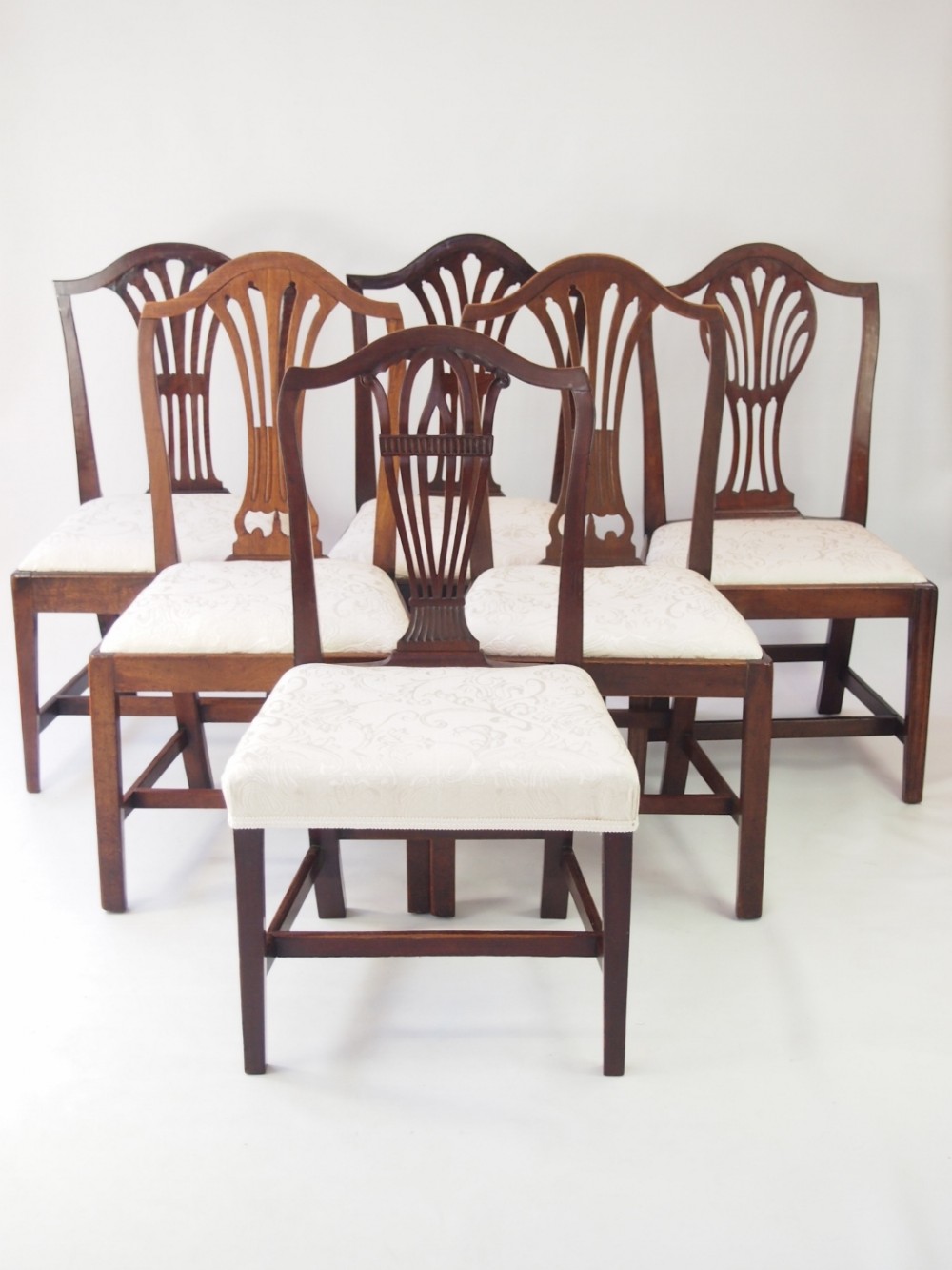 Harlequin Set 6 Georgian Dining Chairs