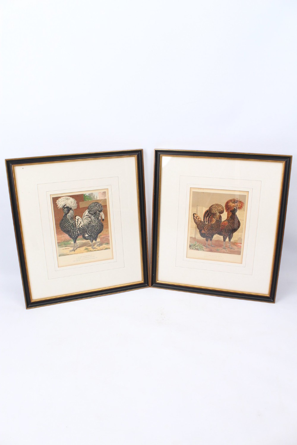 Pair Framed Antique Chicken Lithographs Prints