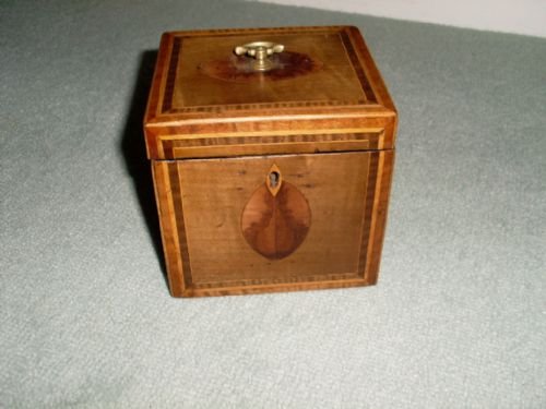 A Regency Single Tea Caddy