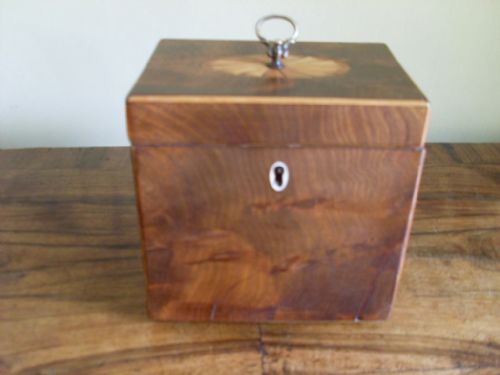 Regency Single Tea Caddy