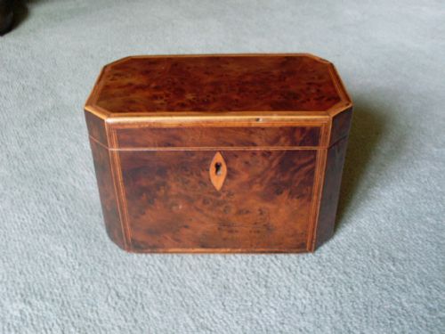 A Regency Yew Tea Caddy