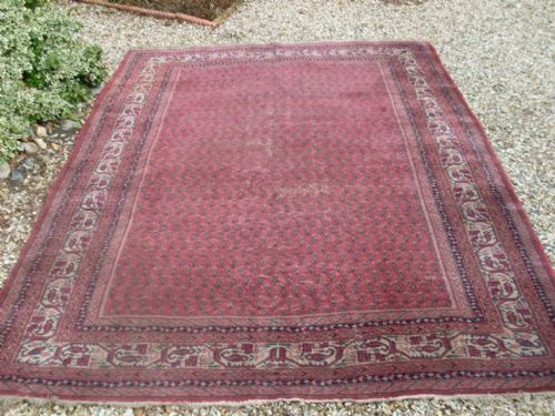 A Large Antique Carpet 350 X 248 Cm Maple+co
