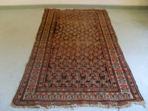 An Antique Caucasian Rug