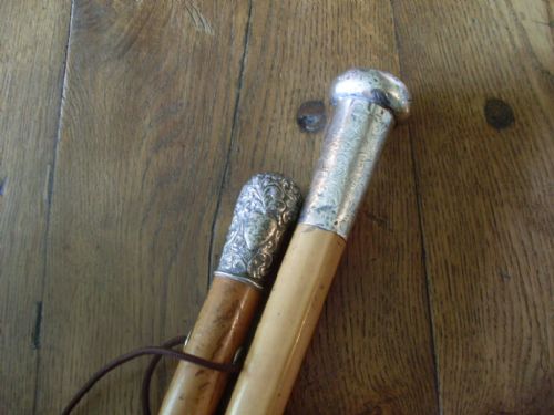 Two Good 19thc Walking Canes