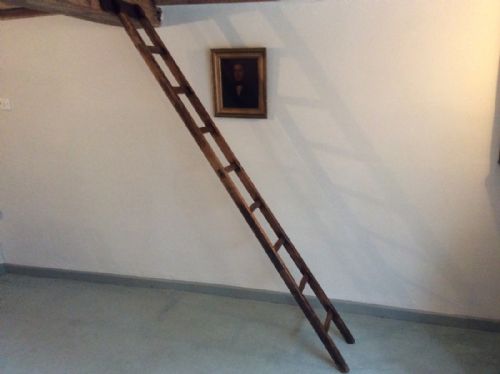 A Victorian Library Ladder