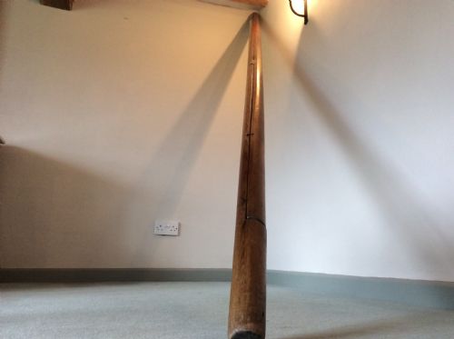 fig 1. A 19thC library pole ladder