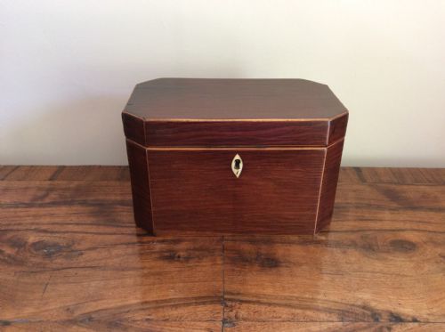 A Regency Partridgewood Tea Caddy