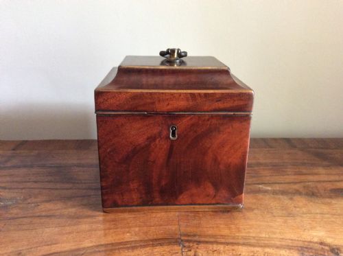 A Georgian Chippendale Style Single Caddy