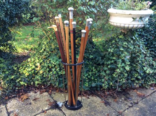 A Collection of 10 Walking Sticks and Canes