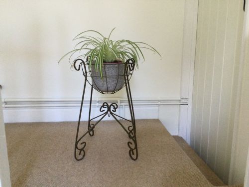 A Wirework Plant Stand