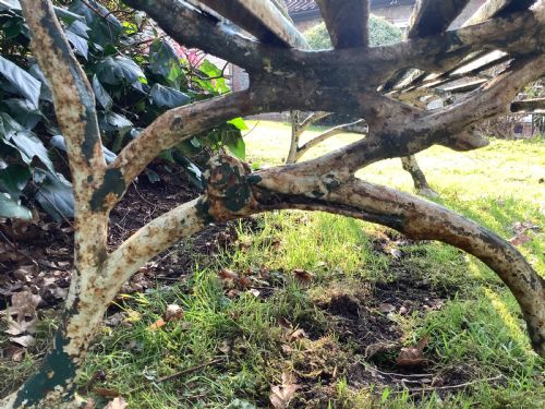 AN ARRAS GARDEN BENCH - ADDITIONAL PHOTO 7