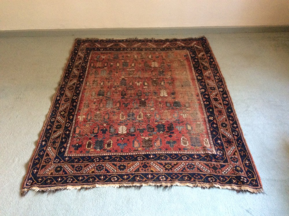 An antique caucasian rug