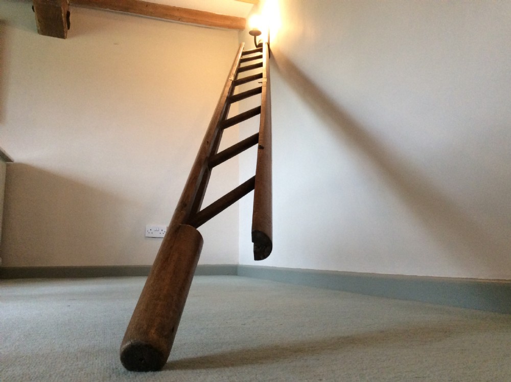 A 19thC library pole ladder