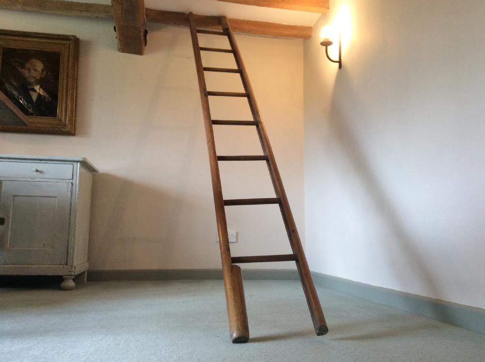 A 19thC library pole ladder View III