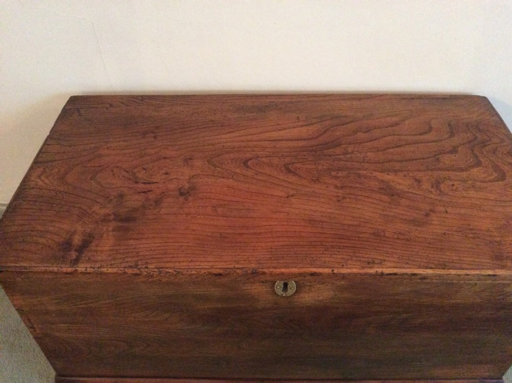 An early 19thC elm trunk  View III