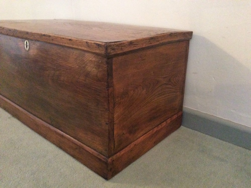 An early 19thC elm trunk  View IV