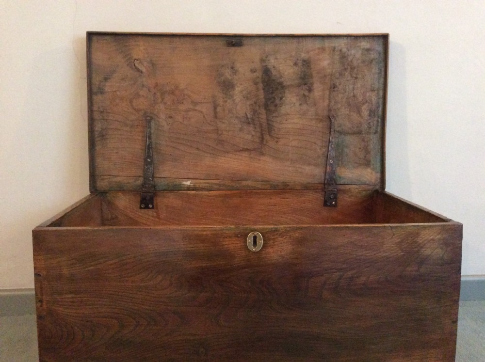 An early 19thC elm trunk  View V