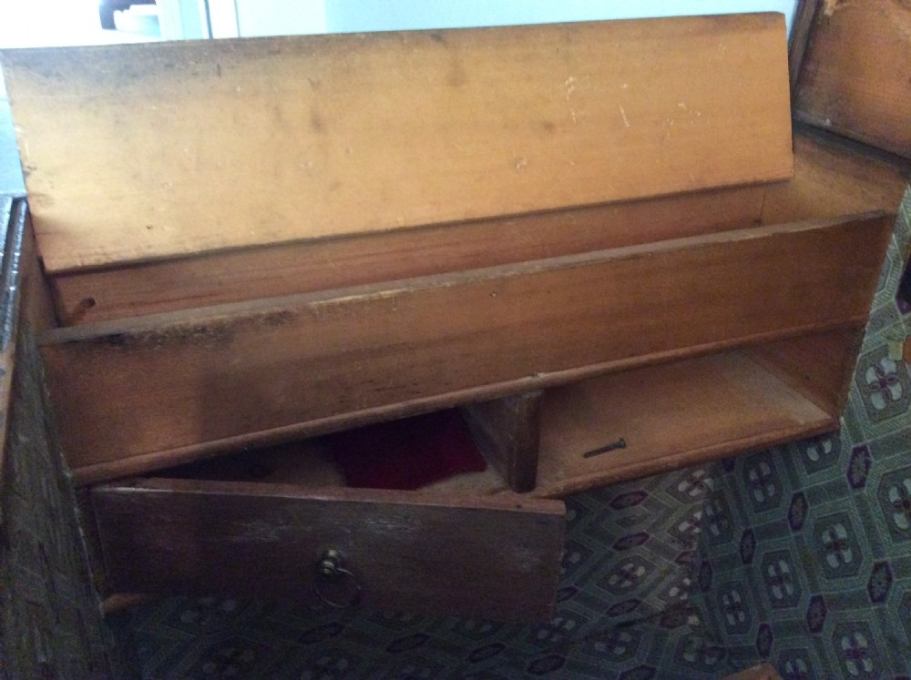 A mid 19thC trunk View XII