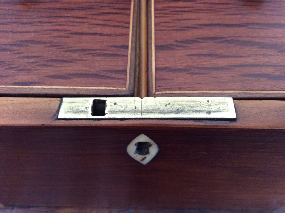 A Regency partridgewood tea caddy View IV