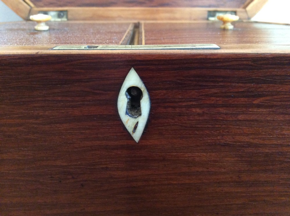 A Regency partridgewood tea caddy View VI