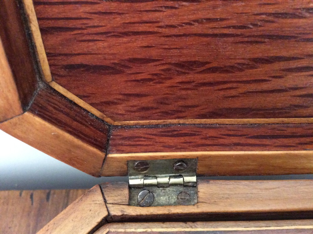 A Regency partridgewood tea caddy View VIII
