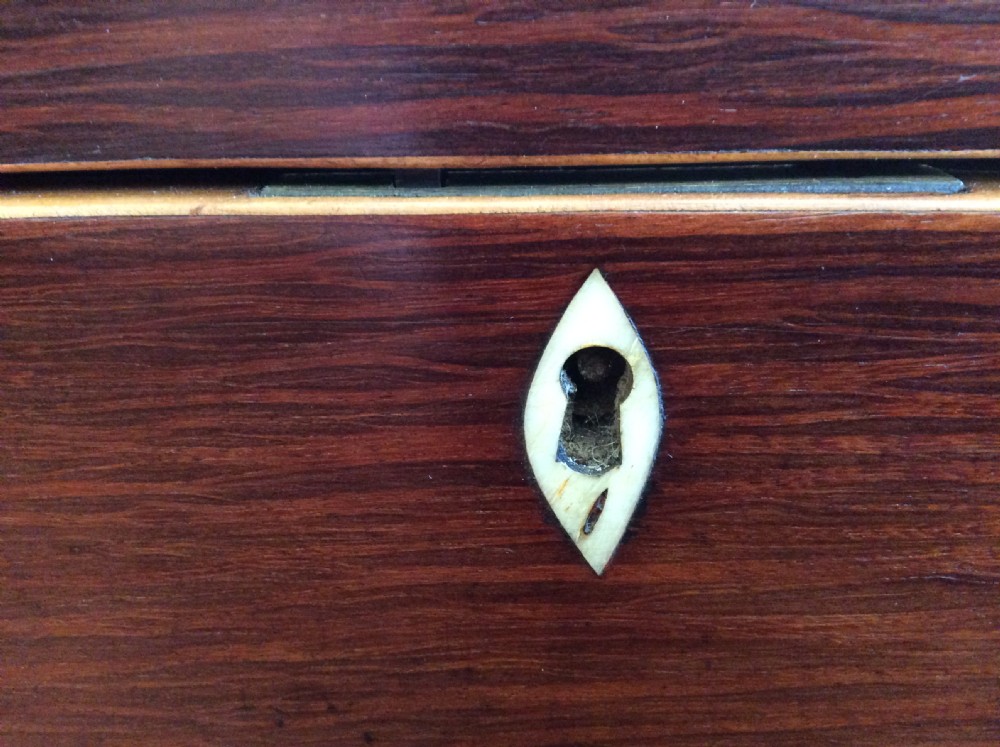 A Regency partridgewood tea caddy View XII