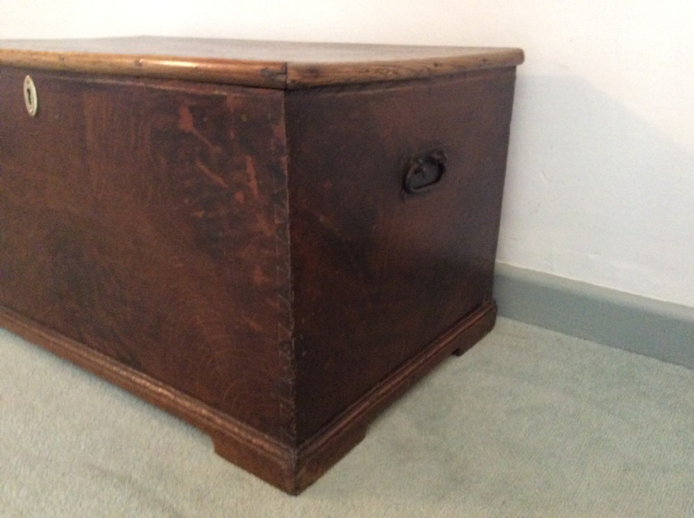 A Georgian elm and oak trunk View IV